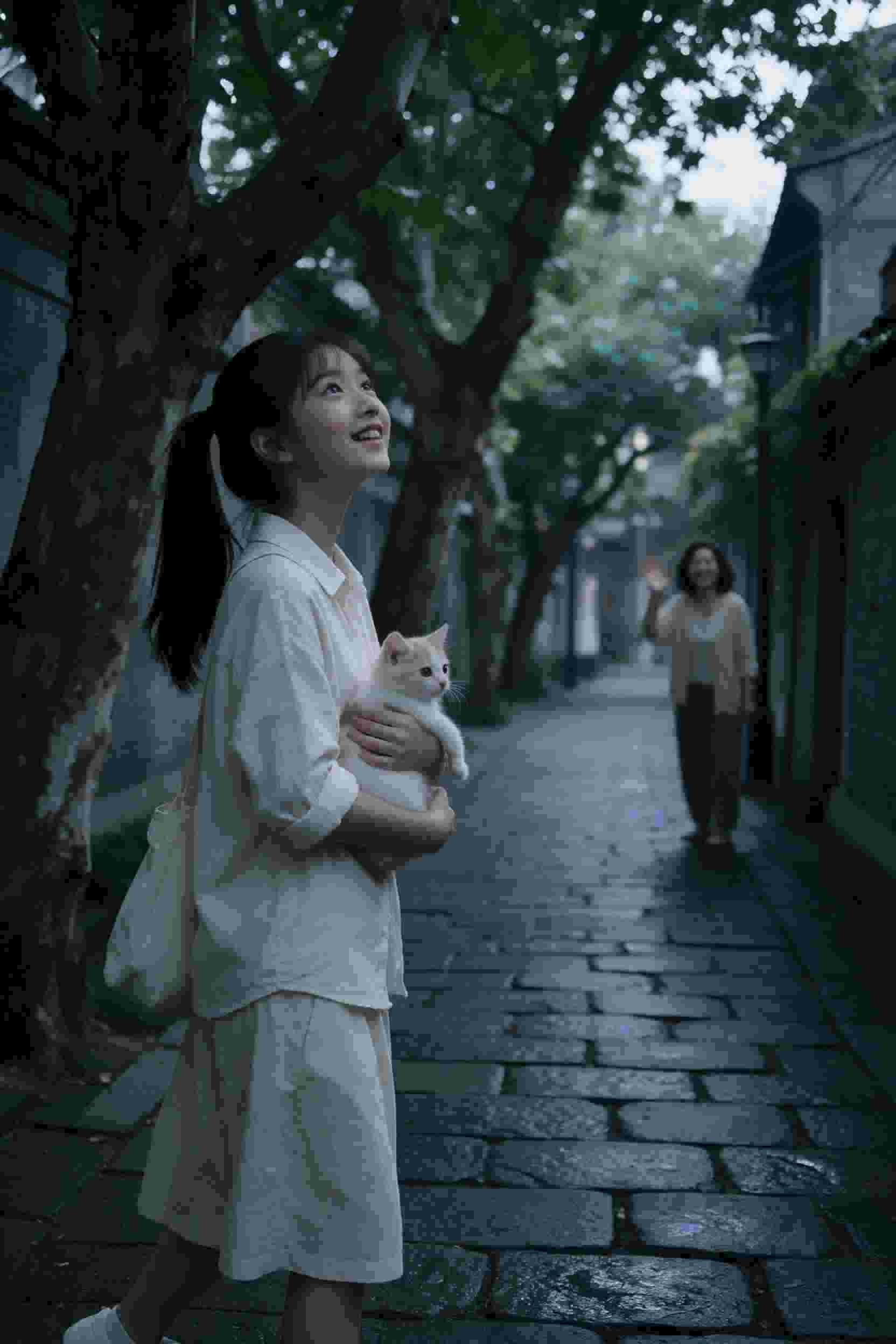 失落的你